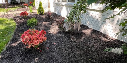 Landscaping, Landscaping Company, Landscaping Contractor, Landscaping Company