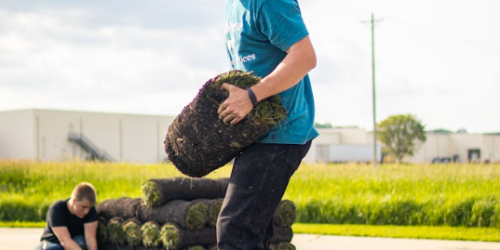 Sod Installation